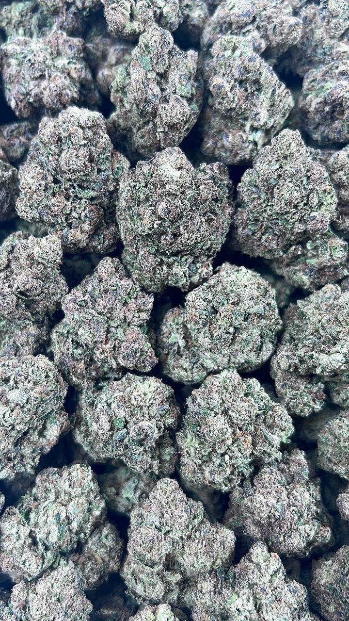 Frosted Runtz FROSTED RUNTZ – boxboysonly.com
